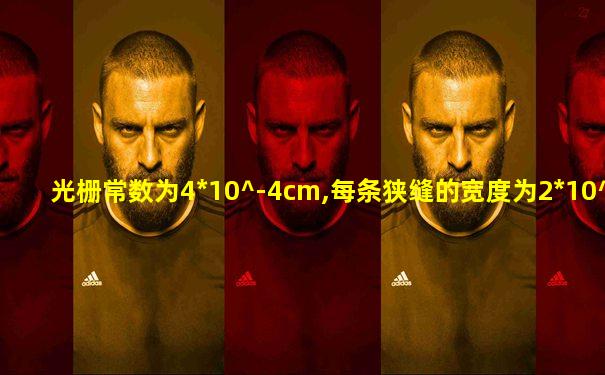 光栅常数为4*10^-4cm,每条狭缝的宽度为2*10^-4